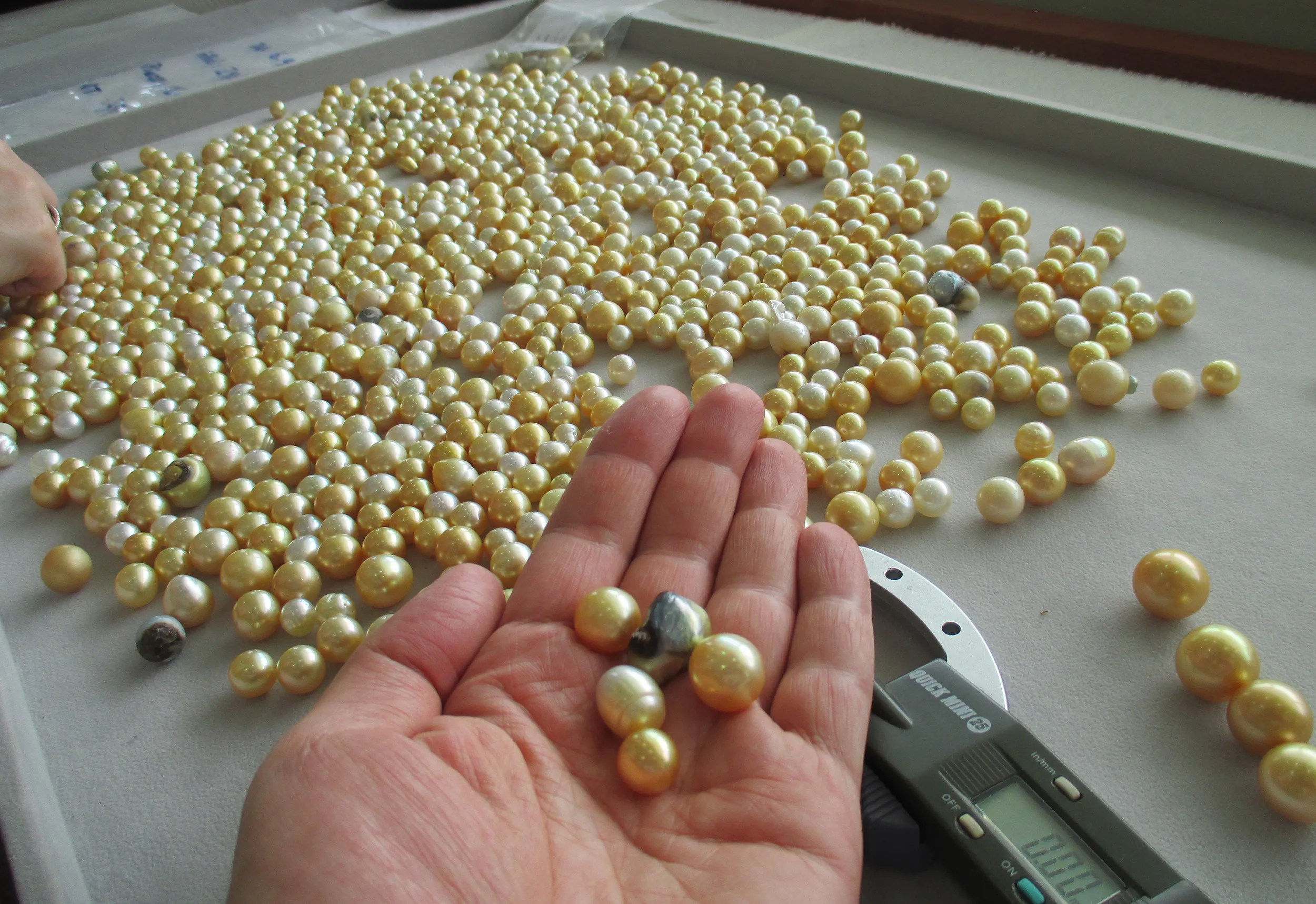 South Sea pearls